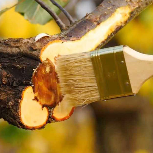 Применение